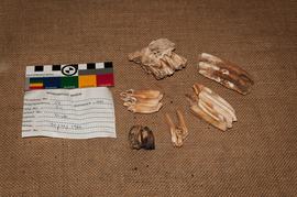 Components 2