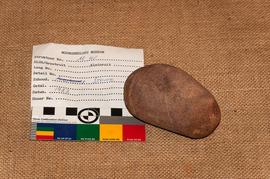 Components 2