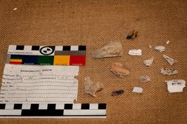 Components 2
