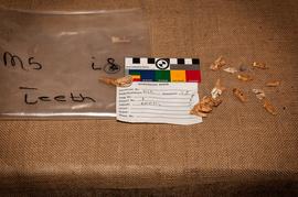 Components 1