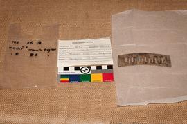 Components 1