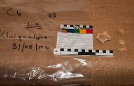 Components 1
