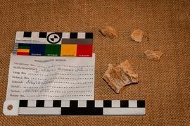 Components 2
