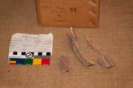 Components 2