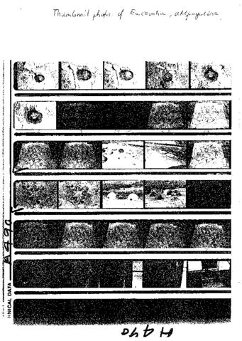 Open original Document numérique