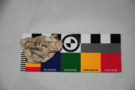 Components 1