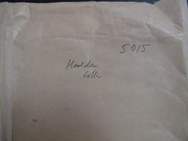 File cover