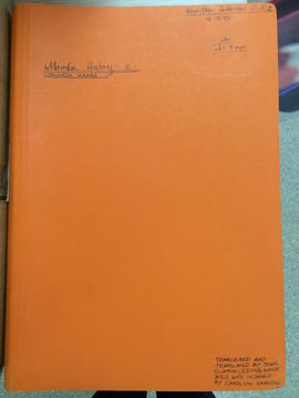 Mamba Logwaja, folder 2