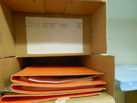 Mkhonto, collection box