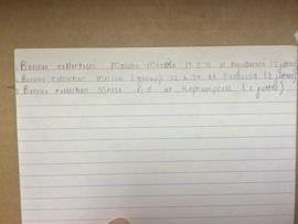 Index card 1, Nhlabatsi box