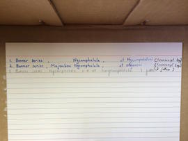 Index card, Shongwe box