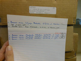 Index card 2, Nhlabatsi box