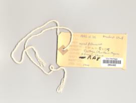 Headrest/Staff object tag