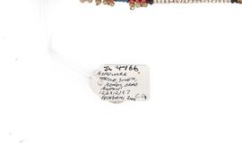 Beadwork object tag 1