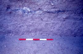 Slide showing detail of midden excavation