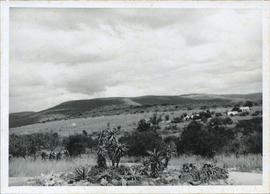 Negative of photograph of uMgungundlovu excavation (back view)