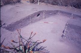 Slide of midden excavation