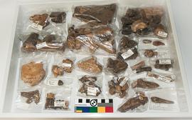 Components 4