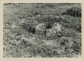 Negative of photograph of hearth at the uMgungundlovu excavation (back view)