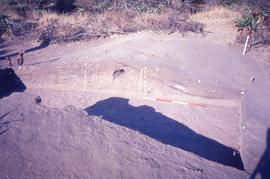 Slide of midden excavation