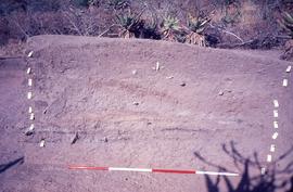 Slide of a section