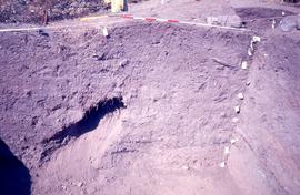 Slide of a section