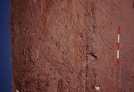 Slide of a section