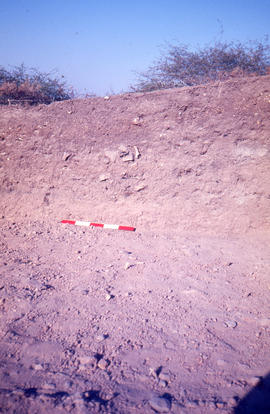 Slide of midden excavation