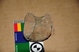 Head Piece of a Dagga Pipe