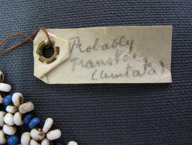 Rectangular parchment label tied to object (view 2)