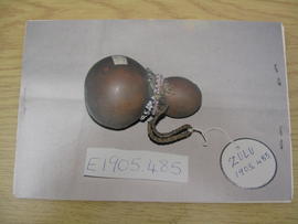 MAA catalogue card E 1905.485 (back view)