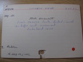 MAA catalogue card, E 1889.135