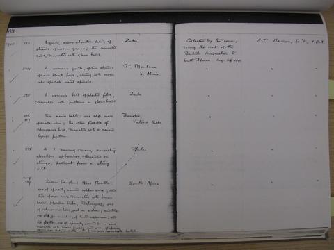 Open original Document numérique