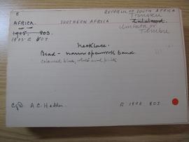 MAA catalogue card E 1905.507