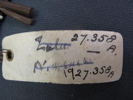 Rectangular parchment label tied to object (view 1)