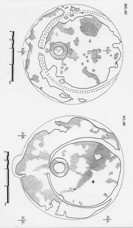 Illustration of uMgungundlovu Huts 187 and 188