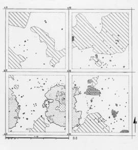 uMgungundlovu Excavation Squares 003